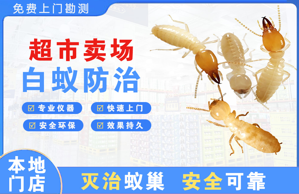 厦门超市卖场白蚁防治