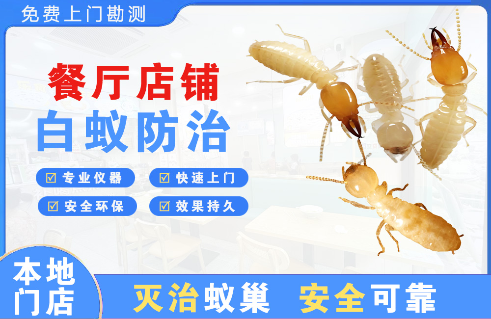 厦门餐厅店铺白蚁防治